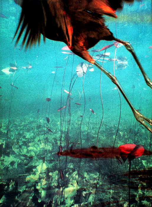 Bank Julius Bär macht Kunstsammlung online zugänglich