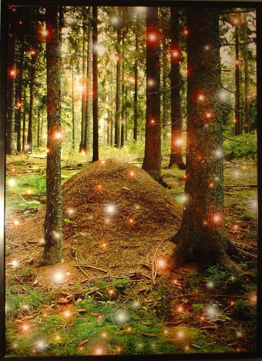 Bank Julius Bär macht Kunstsammlung online zugänglich