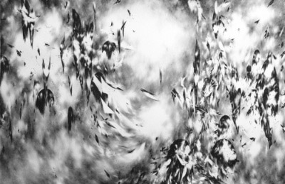 julia-steiner-spring-fall-cut-81