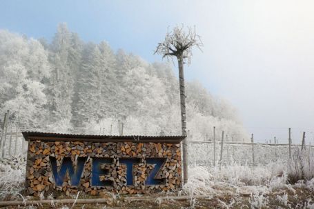 Wetz