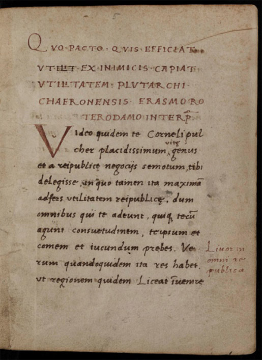 Erasmus von Rotterdam