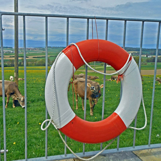cordast bulliard ausguck 2