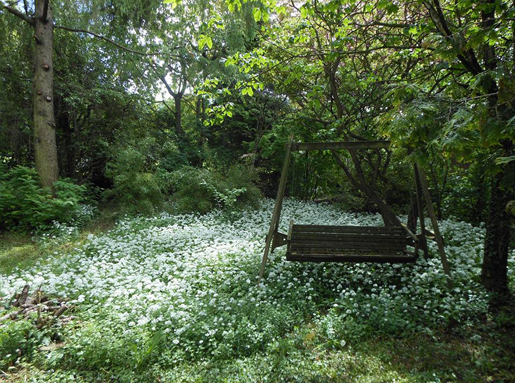 cordast bulliard hinterer garten