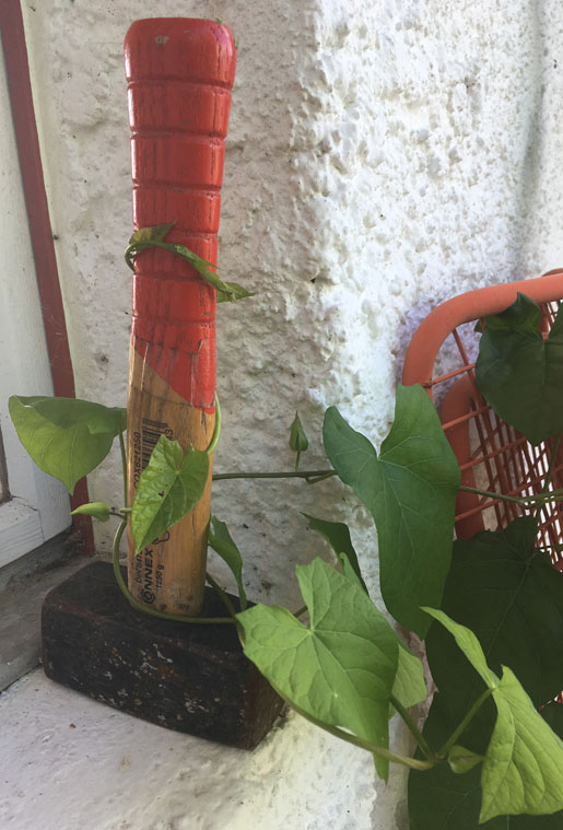 kräftemessen gartenhaus cordast