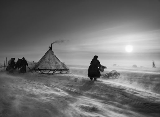 sebastiao salgado genesis