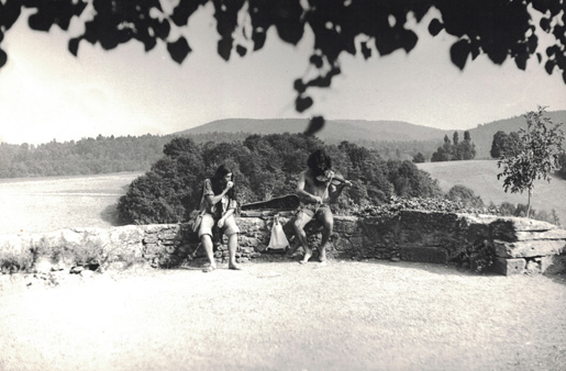 folkfestival lenzburg leutenegger