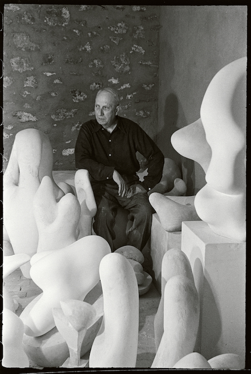 studio hans arp
