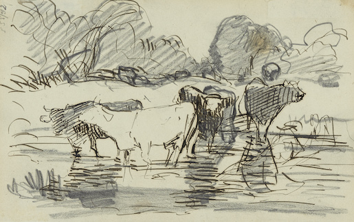 Rudolf Koller, Studie zu 