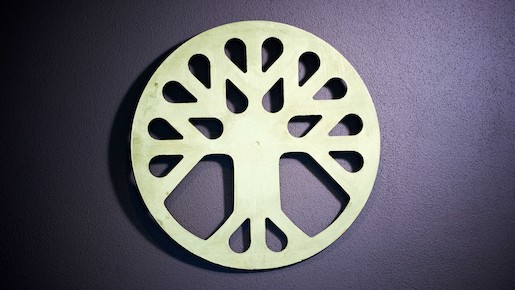 Logo © Stiftung Terra Vecchia, https://www.terra-vecchia.ch/stiftung/organisation/