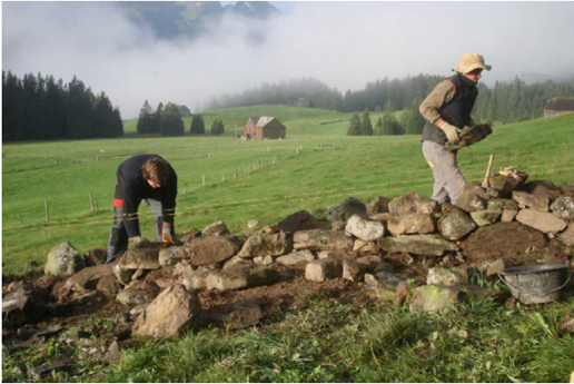 Zivildiensteinsatz Stiftung Umwelt-Einsatz Schweiz, Grabs, Kanton St. Gallen 2007 Foto: © Felix Riegger 2007, www.steinundkraut.ch