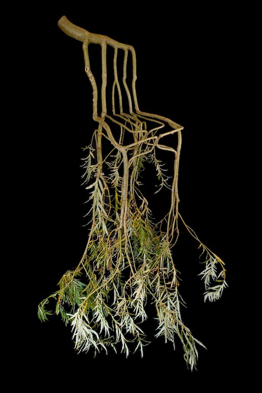 Full Grown, The Grown Chair, 2012-2016 © Alice und Gavin Munro - Foto: Gavin Repton für Full Grown Ltd.