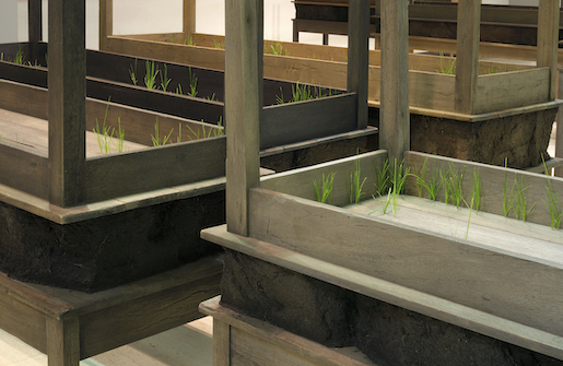 Doris Salcedo, Plegaria Muda, 2008–10 - Holz, Mineralstoffe, Zement, Metall und Gras, 166 Teile; Masse variabel - Installationsansicht CAM–Fundação Calouste Gulbenkian, Lissabon, 2011 - Collection of the artist © Doris Salcedo - Foto: © White Cube (Patrizia Tocci)