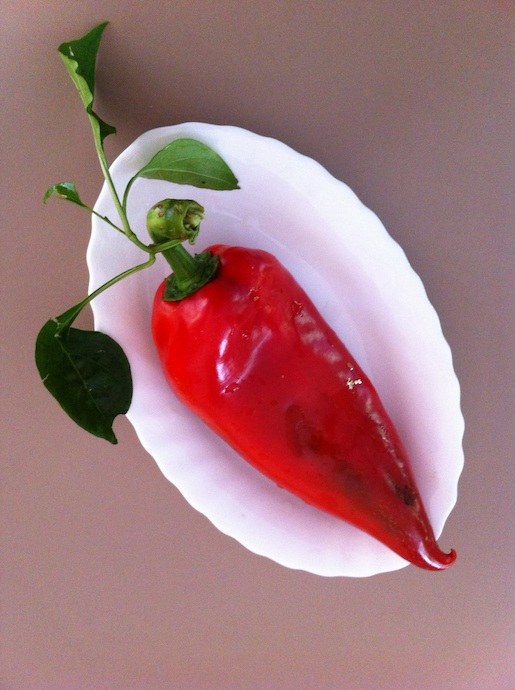 Péter Nádas, 5. September 2014. 10:38, 2014, C-Print, 35 x 27 cm - Kunsthaus Zug, Schenkung des Künstlers 