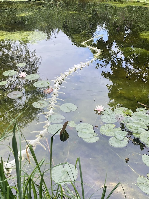 Vanessa Billy, Hellbender, 2023, 3D-Druck aus rezykliertem PET, 500 × 20 × 5 cm - Credit: Biennale Weiertal
