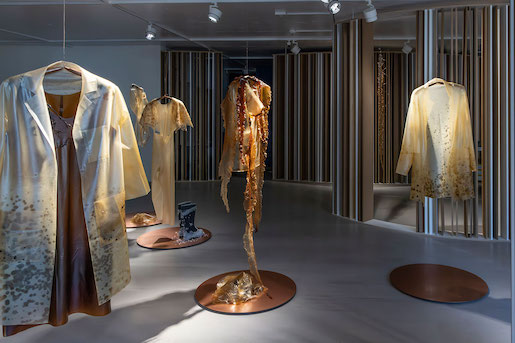 Michelle-Marie Letelier & Karin Pittman, Salm Ethos, 2023, Installation, Experimental Ecology, KBH.G - Foto: Kulturstiftung Basel H. Geiger | KBH.G