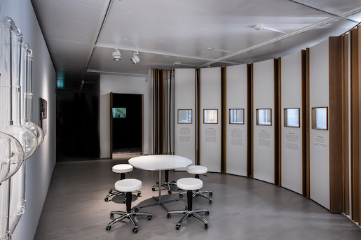 Sissel Tolaas & Christina Agapakis, The_Suiss_The_Cheese, 2023, Installation, Experimental Ecology, KBH.G - Foto: Kulturstiftung Basel H. Geiger | KBH.G