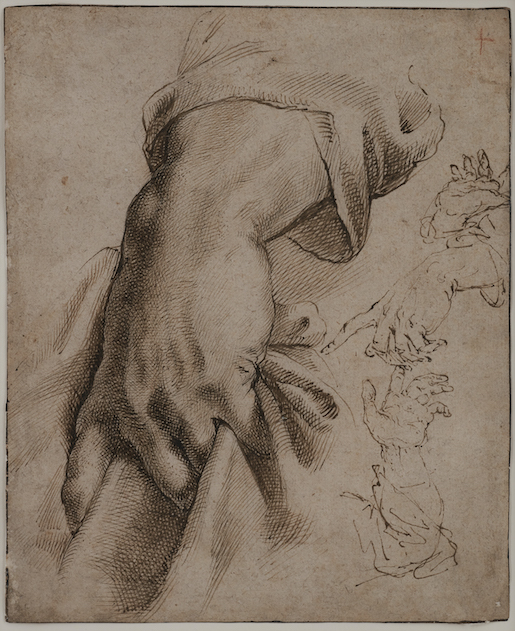 Hand, ein Gewand haltend (Studie zur