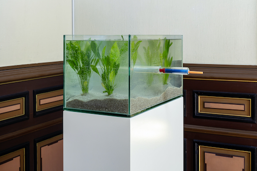 Roman Signer, Aquarium, 1998, Glas, Wasser, Rakete, 4 Amazonas-Schwertpflanzen, Holzsockel (weiss bemalt), 150 × 55 × 44 cm, Schenkung Ursula Hauser, 2022 - Foto: Stefan Rohner
