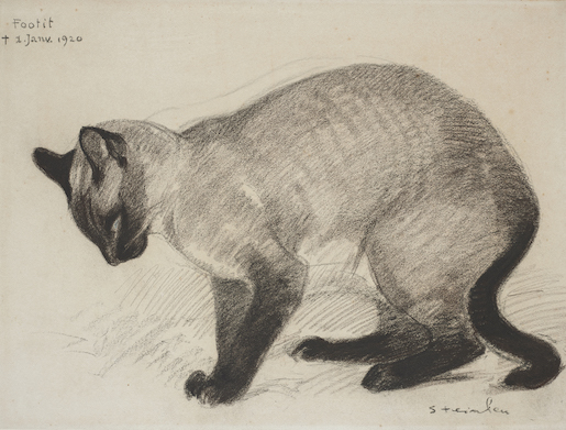 Théophile-Alexandre Steinlen, Footit, 1920. Fusain, sanguine et crayon de couleur sur vélin, 39,4 × 51,9 cm - MCBA. Donation Paul et Tina Stohler, 2021 - Photo: MCBA