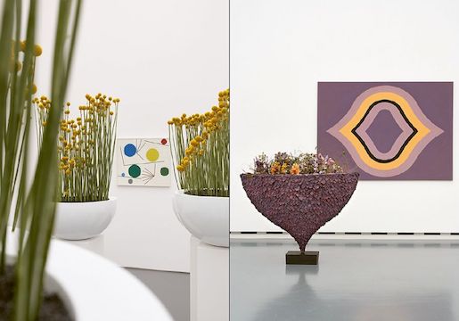 Bilder: © Aargauer Kunsthaus Aarau, https://shop.aargauerkunsthaus.ch/?op=product&id=7929    Das feiern wir mit einer Jubiläums-Publikation, welche die über 120 florale Werke wieder aufleben lässt: Ein Fest fürs Auge mit grossformatigen Abbildungen. Dazu erfahren Interessierte auch, woher die Idee zur Ausstellung stammt, wie der Verein FLOWERS TO ARTS und das Aargauer Kunsthaus zusammenfanden und welche Ideen der Floristinnen und Floristen hinter den Interpretationen stecken.    Das Buch Blumen für die Kunst kann schon jetzt vorbestellt werden. Ab dem 5. März 2024 ist es im Aargauer Kunsthaus und im Buchhandel erhältlich. Die zehnte Ausstellung Blumen für die Kunst findet vom 5. bis 10. März 2024 im Aargauer Kunsthaus statt.         Quelle / Mehr / Kontakt:  https://shop.aargauerkunsthaus.ch/?op=product&id=7929   #CHcultura @CHculturaCH ∆cultura cultura+