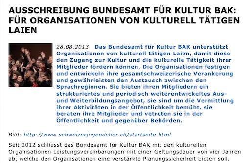 AUSSCHREIBUNG BUNDESAMT FÜR KULTUR (BAK): FÜR ORGANISATIONEN VON KULTURELL TÄTIGEN LAIEN