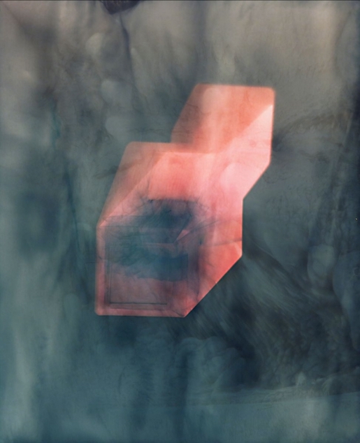 Christelle Boulé, Through Glass, 2019