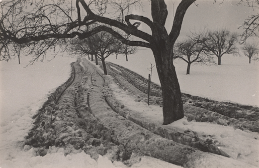 Bild: Jakob Tuggener, Ausgebrachte Jauche im Februar, Oeschgen, 1942 © Jakob Tuggener Stiftung / Fotostiftung Schweiz