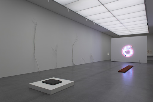 Bild: Saalansicht 4 mit Werken von Bruce Nauman (ganz vorne links und ganz hinten, Not Vital (linke Wand), Ian Hamilton Finlay und David Ballantyne (vorne rechts) - Fotos: © Bündner Kunstmuseum Chur