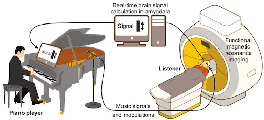 Bild: In einem aufwändig arrangierten Versuch veränderte der Pianist sein Live-Klavierspiel laufend, um die emotionale Reaktion in der Amygdala, dem Zentrum des affektiven Systems im Gehirn, zu steigern - Illustration: UZH