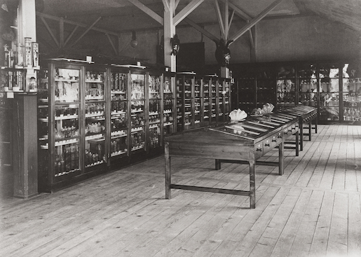 Exposition permanente du Musée après 1923 / Dauerausstellung des Museums nach 1923 © Archives MHNF / Archiv NHMF