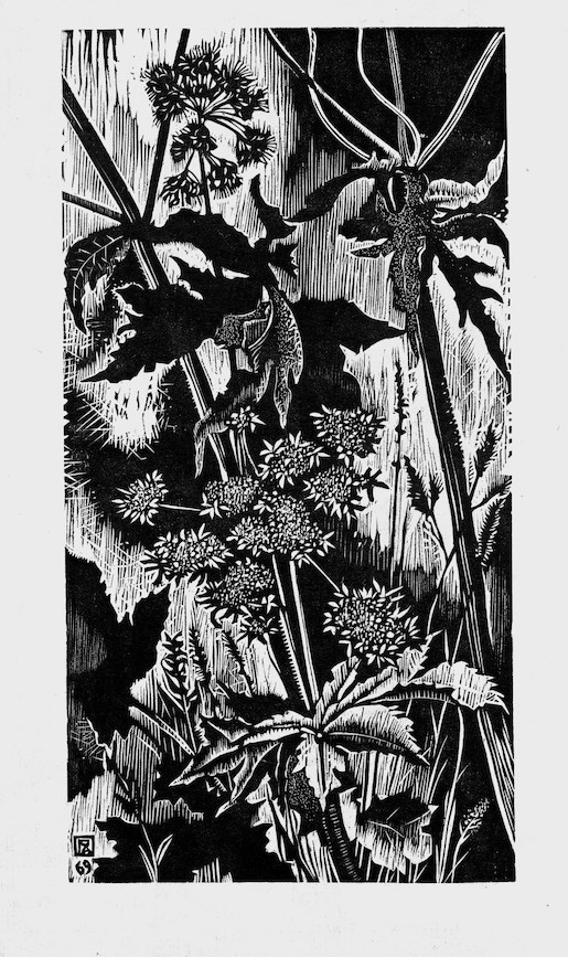 Pierre Aubert (1910–1987), Printemps, contre-jour à Juriens, Musée Jenisch Vevey - Cabinet cantonal des estampes, Fondation Pierre Aubert © Fondation Pierre Aubert