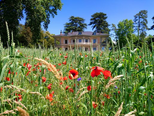 © Photo Fondation de l’Hermitage, Lausanne
