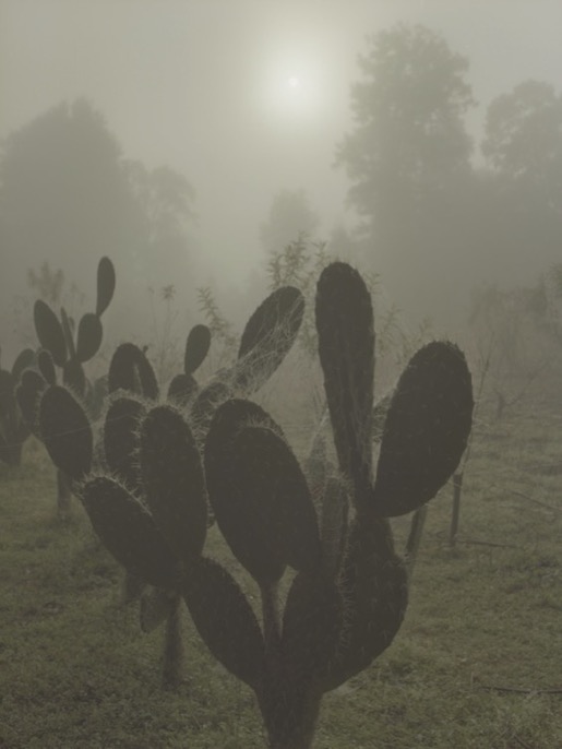 © Ritual Inhabitual, http://www.ritualinhabitual.com/contact