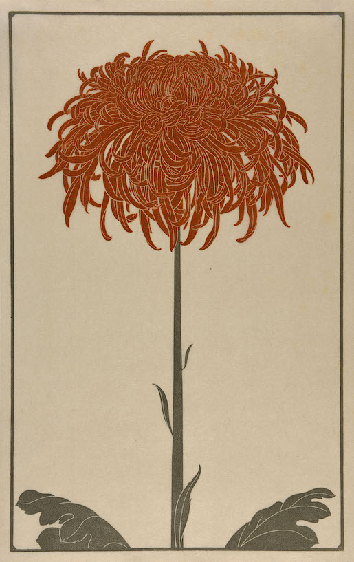 Oskar Tröndle, Chrysantheme, ca. 1911, Holzschnitt, 34,8 x 22,2 cm - Kunstmuseum Solothurn, Depositar des Kunstvereins Solothurn, 1950 © Erbengemeinschaft Vonlanthen