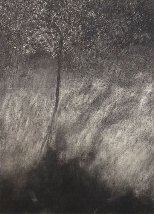 Image: © Ignazio Ruiz