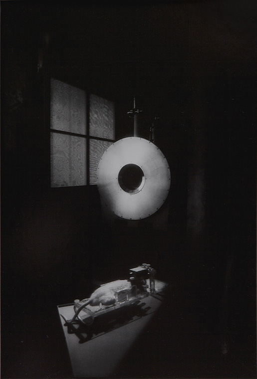 Hans Danuser, In Vivo, 1980–1989, Chemie I (VI 1), Fotografie auf Barytpapier, 50 × 40 cm, Aufgenommen in der Forschung, Analytik und Produktion bei der Pharmakologie und Chemie. © Hans Danuser, 1989, http://www.hans-danuser.ch – Lizenz: https://creativecommons.org/licenses/by-sa/4.0/deed.en – Datei: https://commons.wikimedia.org/wiki/File:Hans_Danuser_INVIVO_ChemieIVI1.jpeg