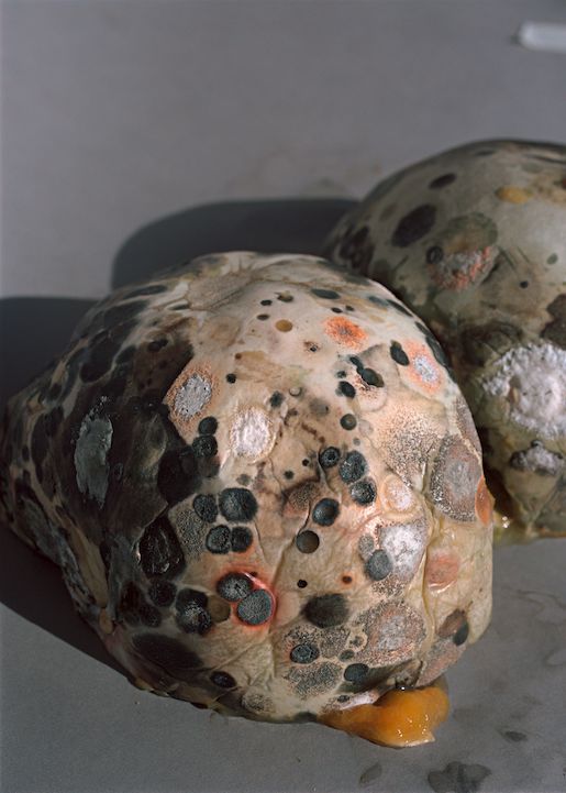 © Alexandra Baumgartner, https://a-baumgartner.com/