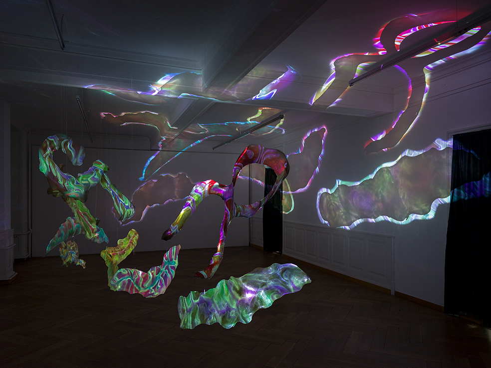 Victoria Holdt (*1992), Vsceral Freeloaders, 2024. Video- und Audioinstallation, 3’33“. Installationsansicht „Vom Körper im digitalen Leben“, Kunsthaus Langenthal. Sound-mix in Zusammenarbeit mit Thalles Piaget. © Victoria Holst - Foto: Cedric Mussano