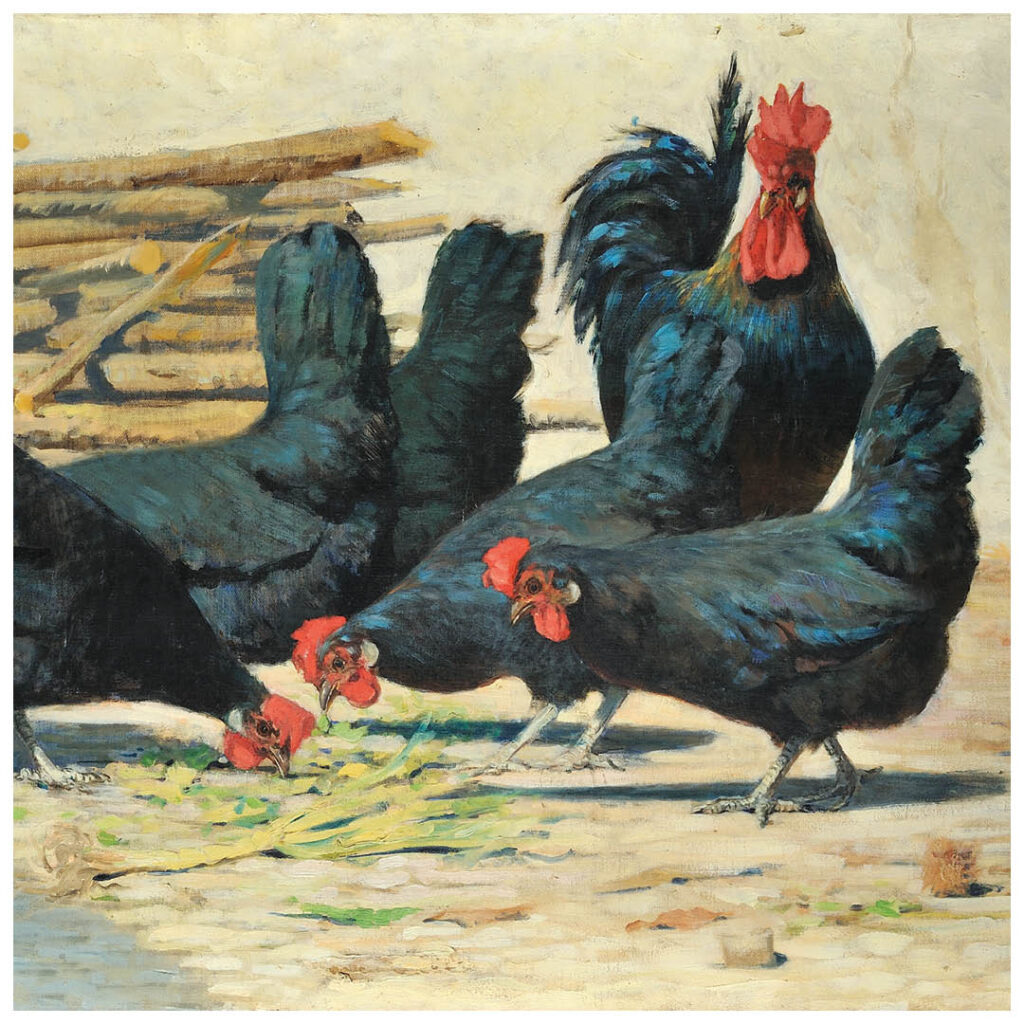 Bild von Spartaco Vela
