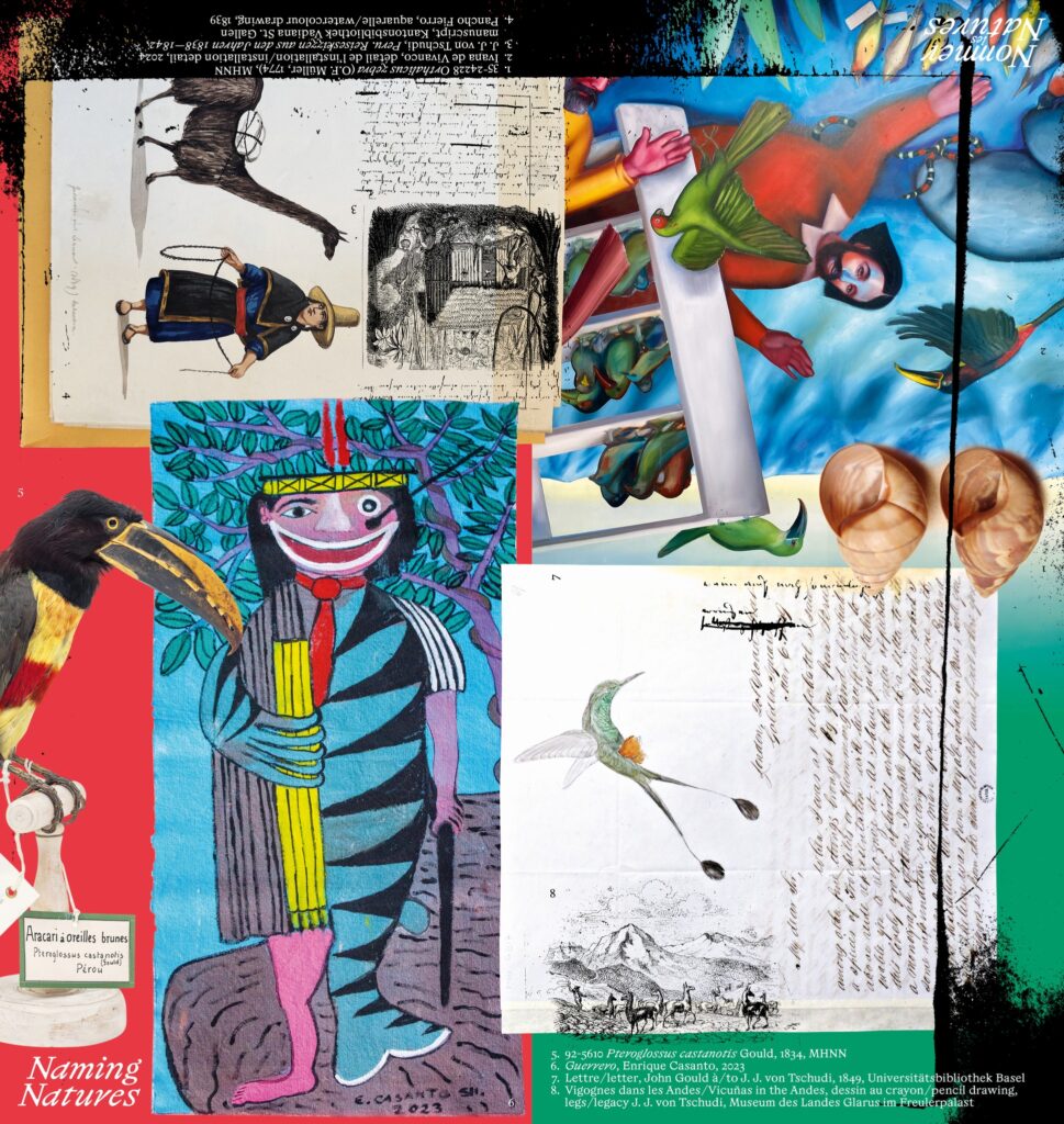 https://museum-neuchatel.ch/expositions/exposition-temporaire-nommer-les-natures/