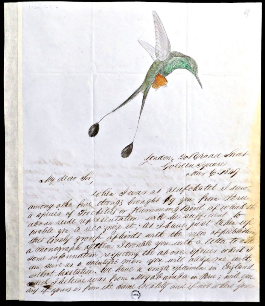 Letter: John Gould to J.J. von Tschudi, London, 6.2.1849