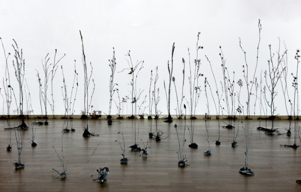 © Ursula Palla, Empty Garden 2, 219-2022