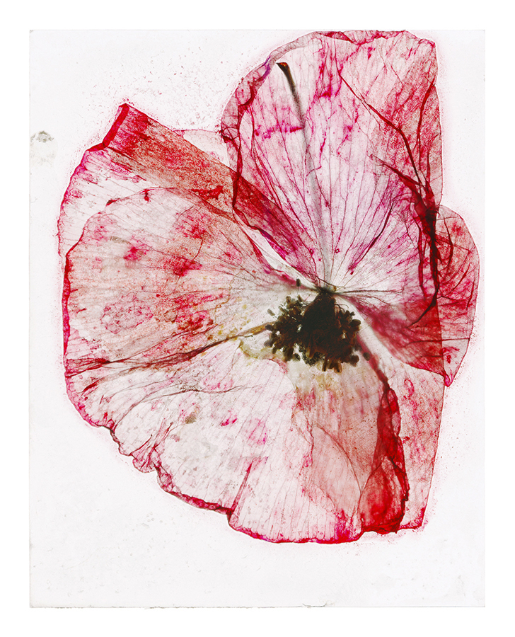 Bild: © Brigitte Lustenberger, Between mists of memory