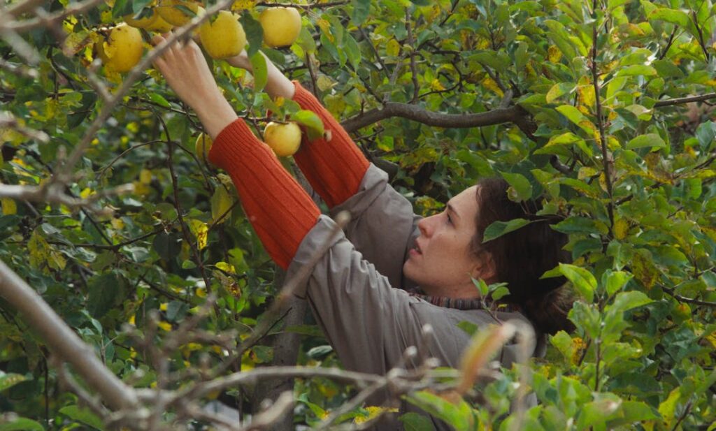 «Zimní monology» von Manuel Karel Seiler