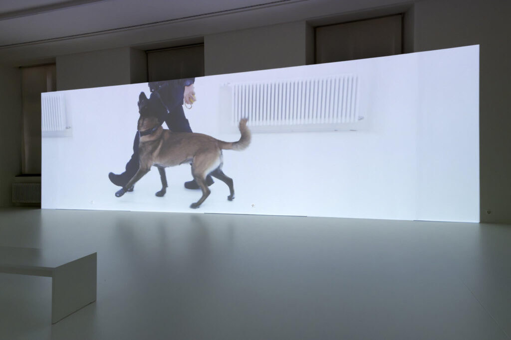 Bild: «Beiss die Hand», 2024, video, 14 min 58 sec (still) von Roman Selim Khereddine, Zürich, Resident Januar bis März 2025