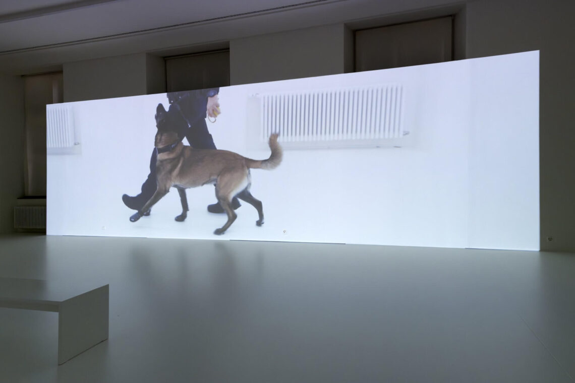 Bild: «Beiss die Hand», 2024, video, 14 min 58 sec (still) von Roman Selim Khereddine, Zürich, Resident Januar bis März 2025