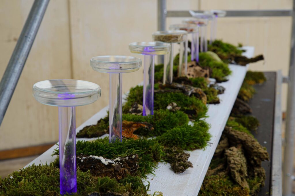 © Susanne Hartmann 24-FC-Experiments-Leiste-3