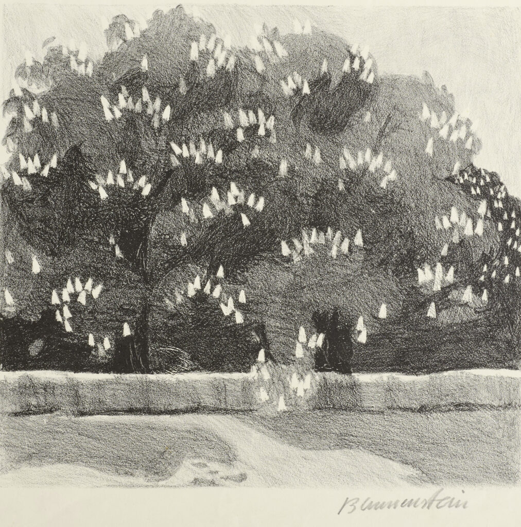 Beno Blumenstein: Blühende Kastanien, um 1942, Lithografie. Foto: Reto Pedrini © Stiftung Righini- Fries Zürich