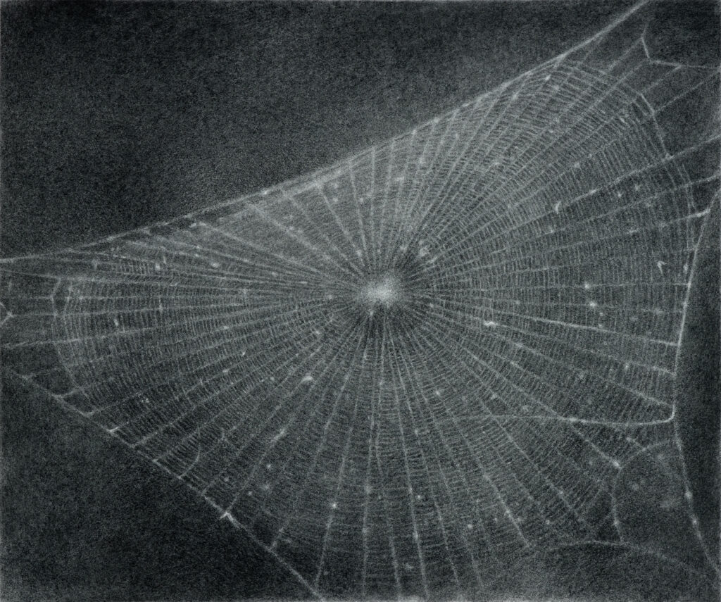 Vija Celmins Untitled (Web #1), 1999 Ohne Titel (Netz #1) Kohle auf Papier, 56,5 x 64,9 cm Tate, ARTIST ROOMS gemeinsam erworben mit den Natio- nal Galleries of Scotland durch die d‘Offay Schenkung mit Unterstützung des National Heritage Memorial Fund und des Art Fund 2008 © Vija Celmins, Courtesy Matthew Marks Gallery Foto: Tate