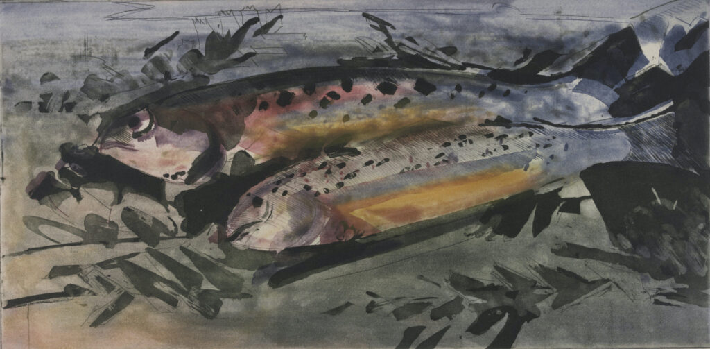 Albert Chavaz, Les Truites, 1972, aquatinte sur papier vélin, 198 x 396 mm, Musée Jenisch Vevey - Cabinet cantonal des estampes, Fondation William Cuendet & Atelier de Saint-Prex © Albert Chavaz, https://museejenisch.ch/api/site/assets/files/10711/2025-05_dossier_chavaz-1.pdf - Crédit photographique: Julien Gremaud